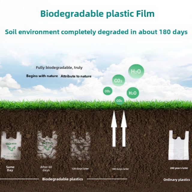 Tas Biodegradable